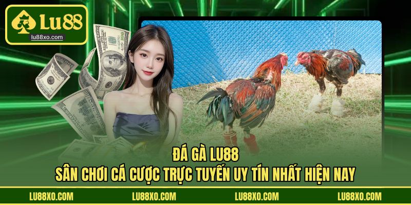 Đá Gà LU88