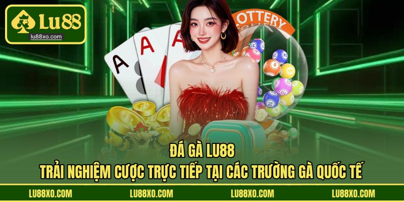 Đá Gà LU88 trải nghiệm trường gà quốc tế