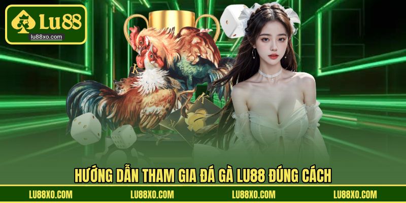 Hướng dẫn tham gia đá gà LU88 đúng cách
