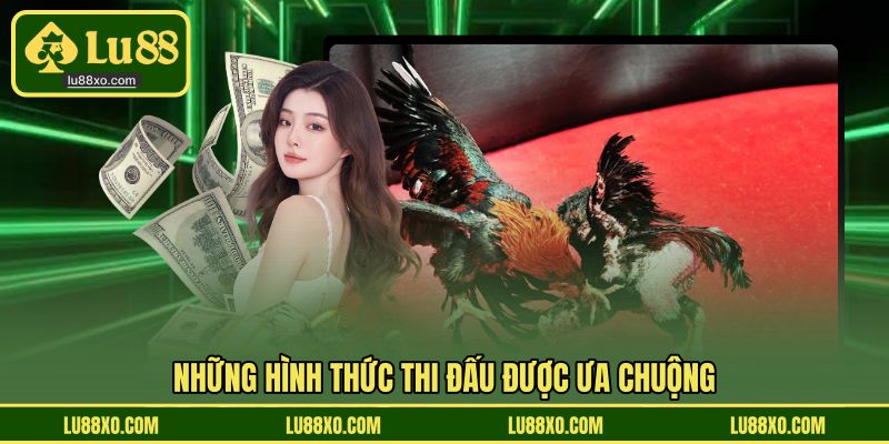 Những hình thức thi đấu được ưa chuộng