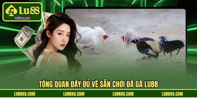 Tổng quan đầy đủ về sân chơi đá gà LU88